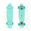 mini cruiser skateboard 225 beraman me led rodes fish photo