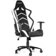 akracing player gaming chair black white photo akracing player gaming chair black white photo