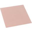 THERMAL GRIZZLY MINUS PAD 8 THERMAL PAD 100X100X2.0MM