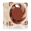 noctua nf a4x20 flx fan 40mm photo