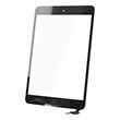 touch panel for ipad mini full front black photo