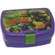 disney doxeio fagitoy ninja turtles trainin photo disney doxeio fagitoy ninja turtles trainin photo
