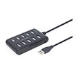 gembird uhb u2p10p 01 10 port usb 20 hub black photo