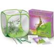 world alive stick insect kit photo