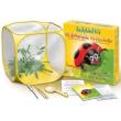 world alive ladybird kit photo