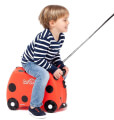 paidiki balitsa taxidioy baptisis trunki harley ladybug extra photo 3