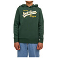 hoodie jack jones 12212287 jjelogo skoyro prasino152 cm12 eton extra photo 2