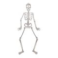 figoyra skeletos kremastos glow in dark fun world 88cm 7003 extra photo 1