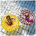 ekpaideytiko kathisma kolymbisis swim essentials 69ek rose gold leopard 0 1 eton extra photo 2