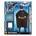 stoli rubie s batman 881286 extra photo 2
