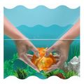 paixnidi mpanioy munchkin pop squish koxyli extra photo 2