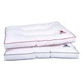 maxilari greenwich polo club essential 2350 leyko 50x70cm extra photo 1