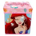apothikeytiko koyti paixnidion disney princess 30x30x30 cm extra photo 1