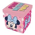 apothikeytiko koyti paixnidion disney minnie 30x30x30 cm extra photo 1