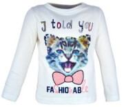mployza energiers fashionable ekroy 80ek 6 12 minon photo