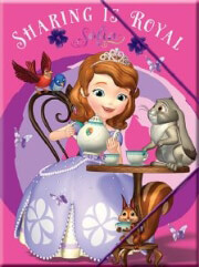 ntosie lastixo sofia the first plastiko exofyllo a4 photo