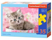 pazl castorland kitten in box 35tmx photo