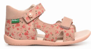 pedilo kickers binsia 696350 floral roz photo