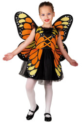 orange butterfly clown republic 1008 4 eton photo