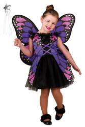 purple butterfly clown republic 1022 photo