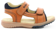 pedila kickers platino 349498 kamel eu 33 photo