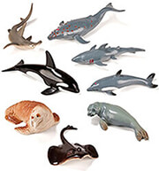 paixnidi drastiriotiton thalassia zoa miniland photo