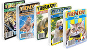 set 5 paixnidia yperatoy zoa mythologia photo