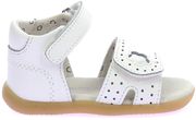 pedila kickers bigkratch c 962460 leyko eu 23 photo