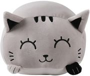 maxilari i total xl2208q grey cat 60x70cm photo