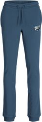 panteloni formas jack jones 12276604 jpstluke sweat pants gms mple photo