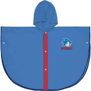 adiabroxo pontso cerda sonic the hedgehog photo