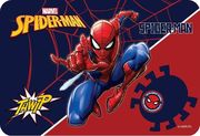 soypla spiderman 43 x 29 cm photo