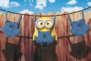 afisa minions laundry 92x61cm photo