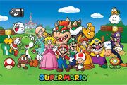 afisa super mario characters 61x915cm photo