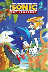 afisa sonic the hedgehog 61x915cm photo