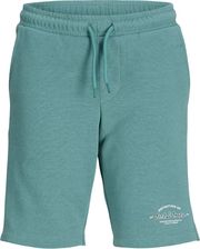 bermoyda jack jones jpstgordon brandon sweat 12292138 prasino photo