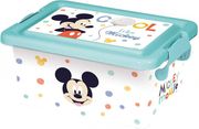 plastiko koyti apothikeysis disney mickey 37 l photo