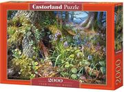 from ruslan woods castorland 2000 kommatia
