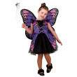 purple butterfly clown republic 1022 photo