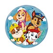 mpala light up 100mm paw patrol assort photo