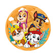 mpala light up 100mm paw patrol assort photo