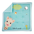 to xalaki drastiriotiton tis sofi sophie la giraffe photo