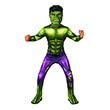 hulk hs 702025 photo