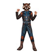 av4 rocket raccoon 700664 photo