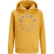 hoodie jack jones 12243441 jjwarrior kitrino photo