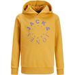 hoodie jack jones 12243441 jjwarrior mpez photo