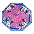 omprela safta minnie mouse lucky photo