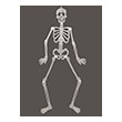 figoyra skeletos kremastos glow in dark fun world 88cm 7003 photo