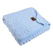 koyberta fleece baby greenwich polo club 8834 galazio 80x110cm photo
