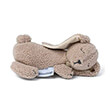 thermofora kata ton kolikon doomoo snoogy bunny biscuit photo thermofora kata ton kolikon doomoo snoogy bunny biscuit photo